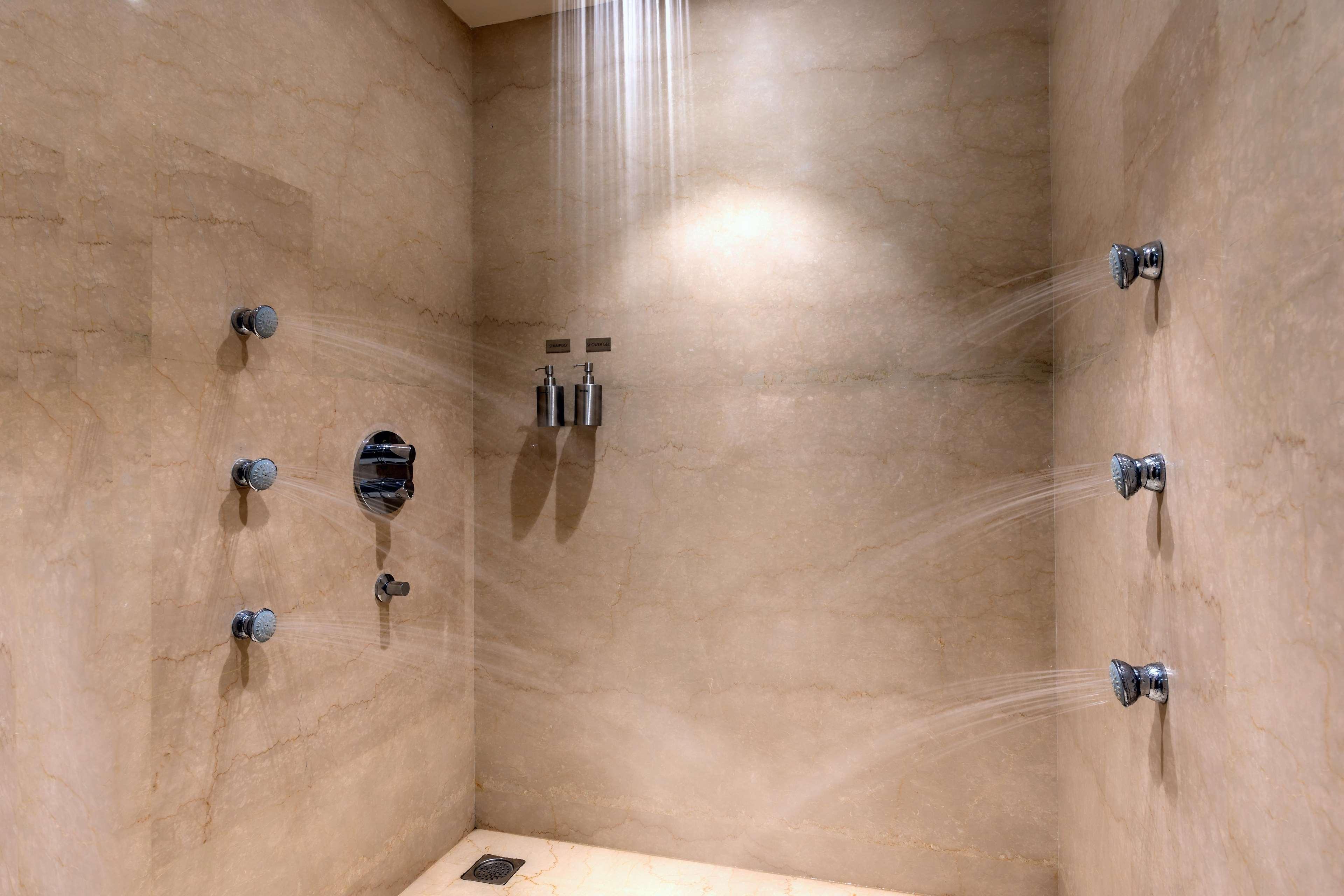 Feathers- A Radha Hotel, 5*