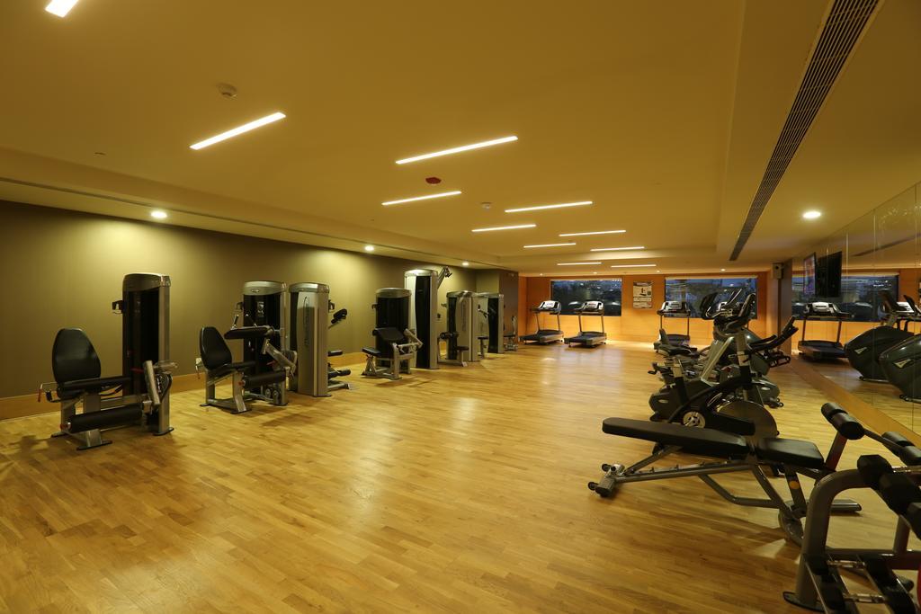 Hotel Feathers- A Radha Hotel, Chennai